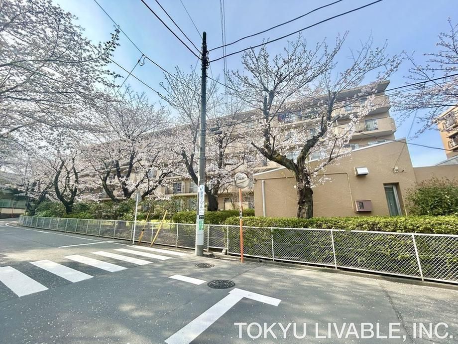 Renovated 2LDK Apartment 68.3m2 in Miyamae-ku Kawasaki - Thumbnail 2