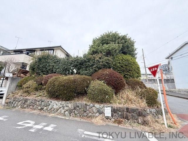 153m2 Land for Sale in Zama City, Kanagawa - Thumbnail 3