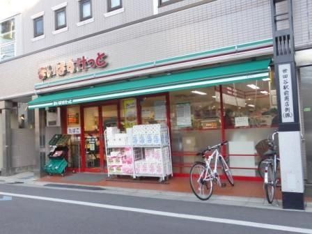 171.93 sqm Land for Sale in Setagaya, Tokyo - Prime Residential Plot - Thumbnail 4