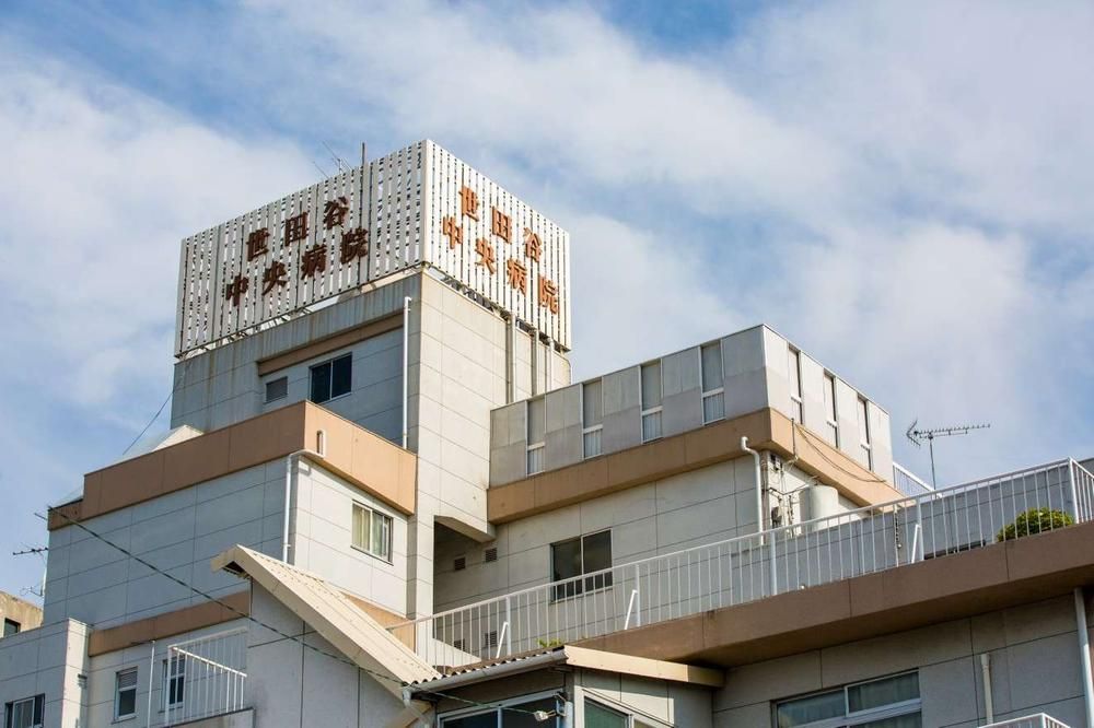 171.93 sqm Land for Sale in Setagaya, Tokyo - Prime Residential Plot - Thumbnail 2