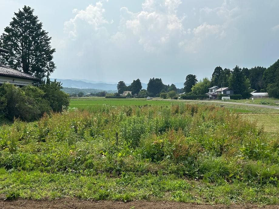 453 sqm Land for Sale in Soma City, Fukushima - Thumbnail 4