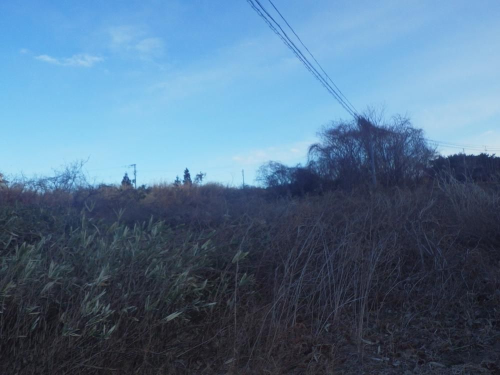 Land for Sale in Soma City, Fukushima - 4913 sqm - Thumbnail 3
