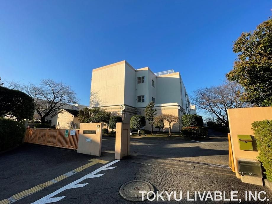 2LDK Apartment with 48m2 Roof Balcony in Kawasaki - Thumbnail 3