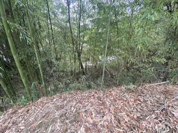 6014 sqm Land Plot for Sale in Hachioji, Tokyo - Thumbnail 4
