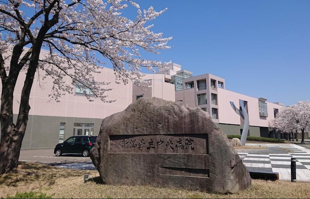 Residential Land for Sale in Joetsu City, Niigata - Thumbnail 4