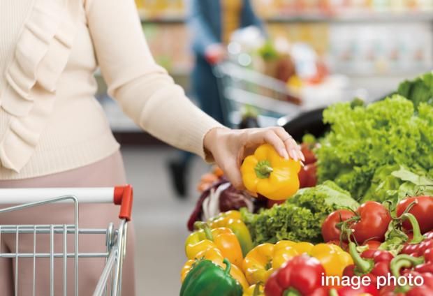 Land for Sale in Koga City, Ibaraki - Sekisui House Development - Thumbnail 3