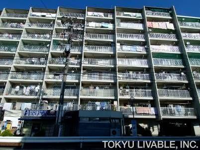 3LDK Renovated Apartment in Kashimada, Kawasaki - 59.85m² - Thumbnail 2
