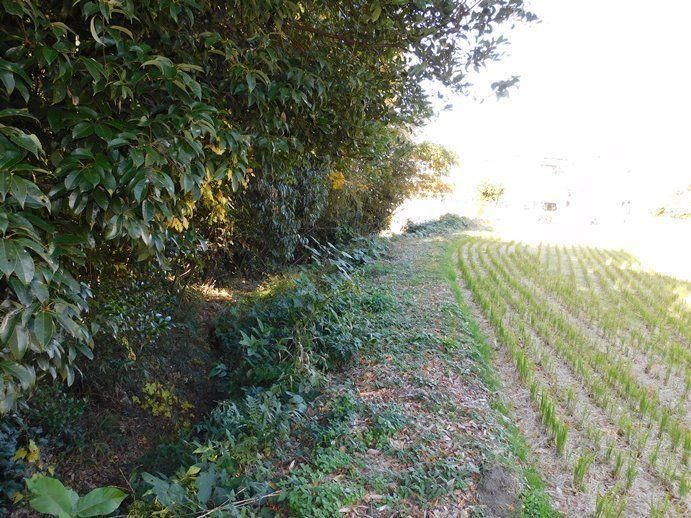 301 Tsubo Land for Sale in Kumatori, Osaka - 4.95M Yen - Thumbnail 2