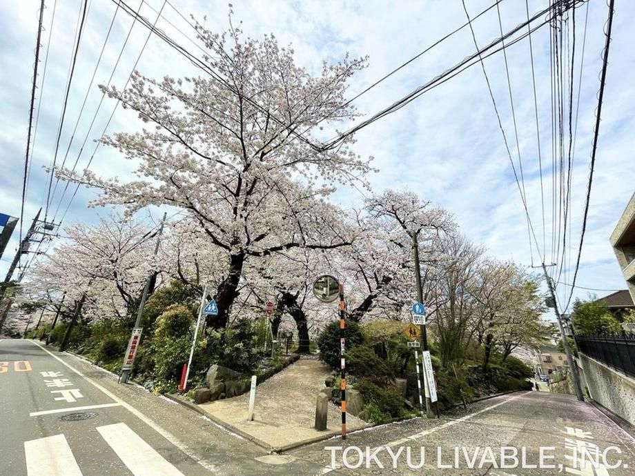 Land for Sale in Ota-ku, Tokyo – 179.81m2 Near Ookayama Station - Thumbnail 4