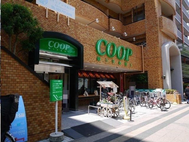 1LDK Apartment for Sale in Aoba Ward, Sendai City, Miyagi - Thumbnail 4