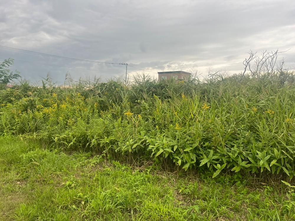 185m2 Land for Sale in Shinoro-cho Takuhoku, Kita-ku, Sapporo - Image 1