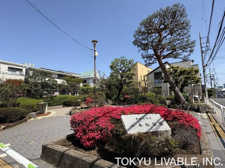 Land for Sale in Setagaya, Tokyo – 61.77 m² Corner Lot - Thumbnail 4