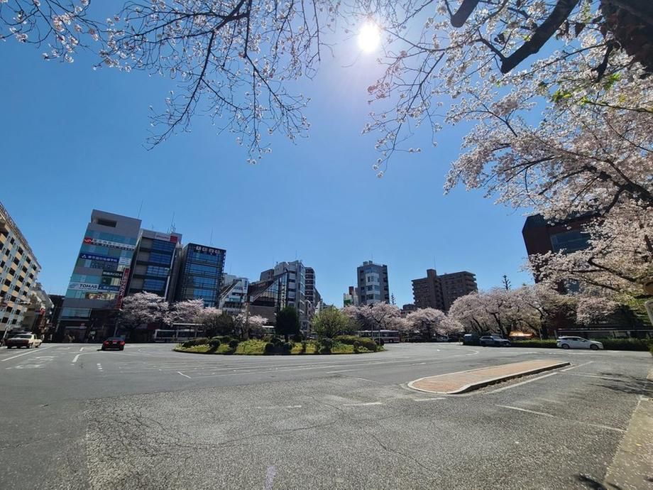115 sqm Plot for Sale in Kokubunji, Tokyo - Near Kunitachi Station - Thumbnail 2