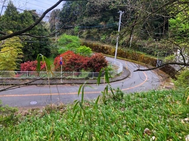 Land for Sale in Minamiashigara, Kanagawa - 1,221 sqm - Thumbnail 2