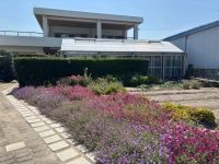 8LDK Family Home with Garden in Minamiawaji - Thumbnail 2