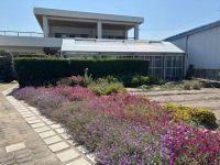 8LDK Family Home with Garden in Minamiawaji — Image 1, Minamiawaji, Hyogo