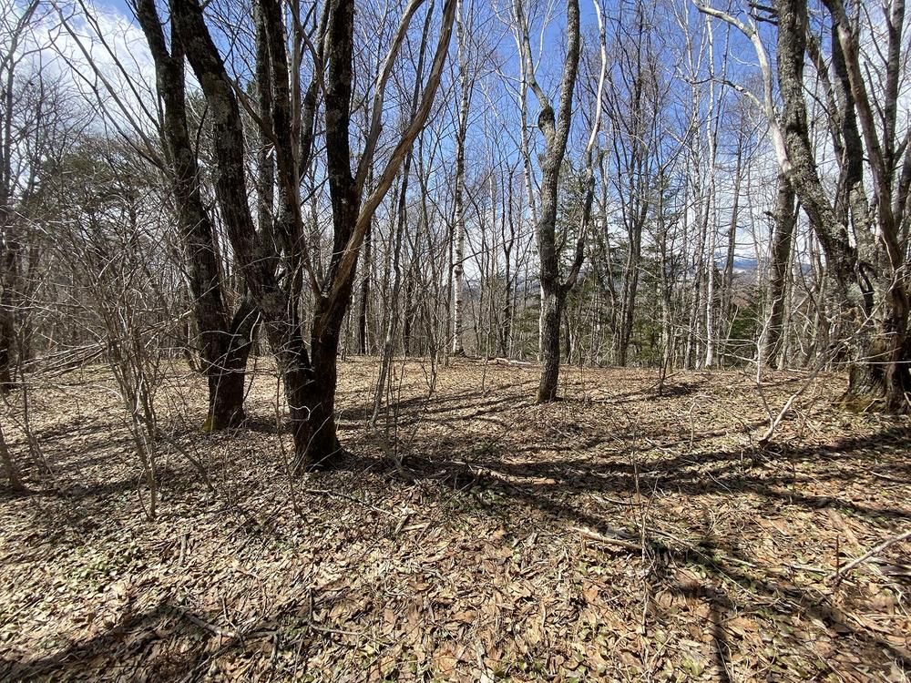 4,640m2 Land for Sale in Otaki Village, Nagano - Thumbnail 2