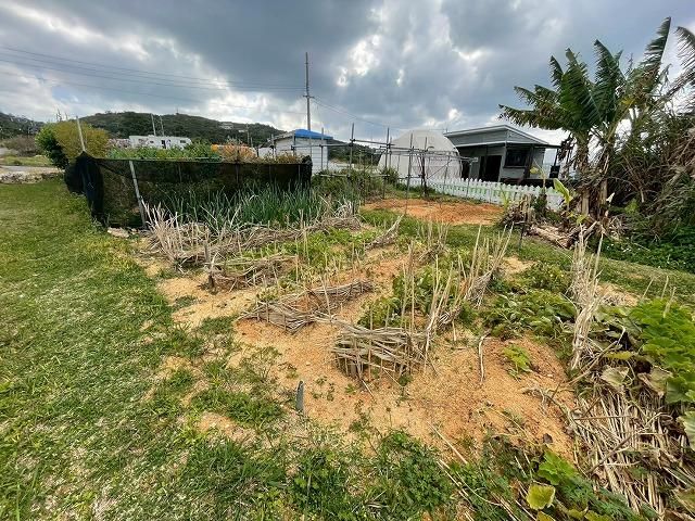332 sqm Land for Sale in Nakijin Village, Okinawa - Thumbnail 2