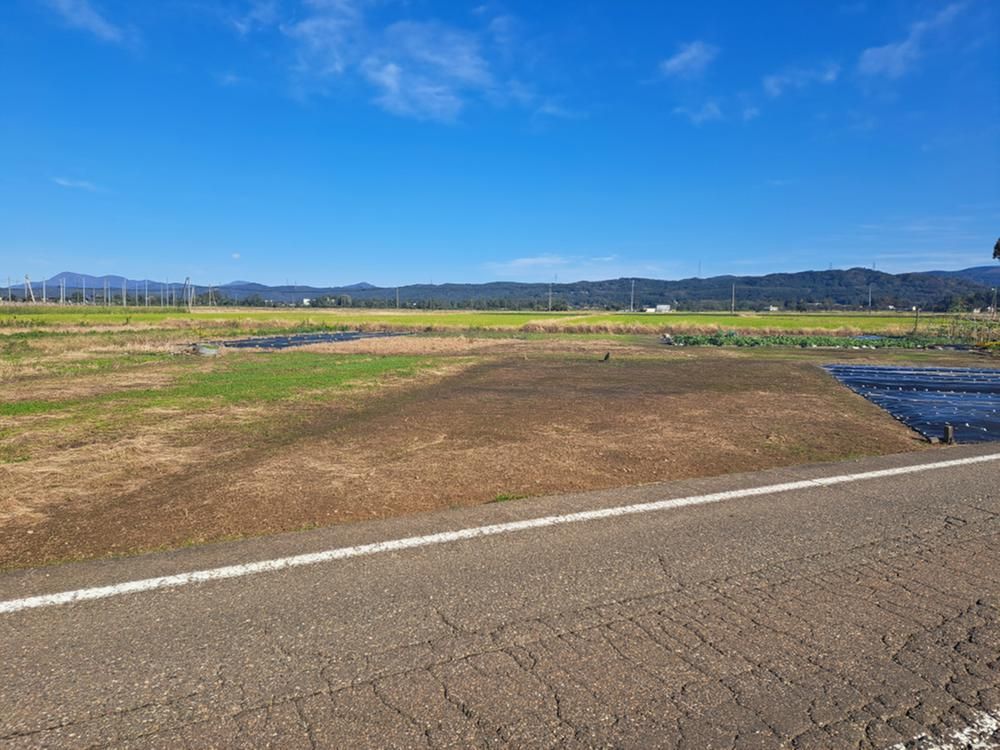 Land for Sale in Joetsu City, Niigata – 976 sqm Plot - Thumbnail 4