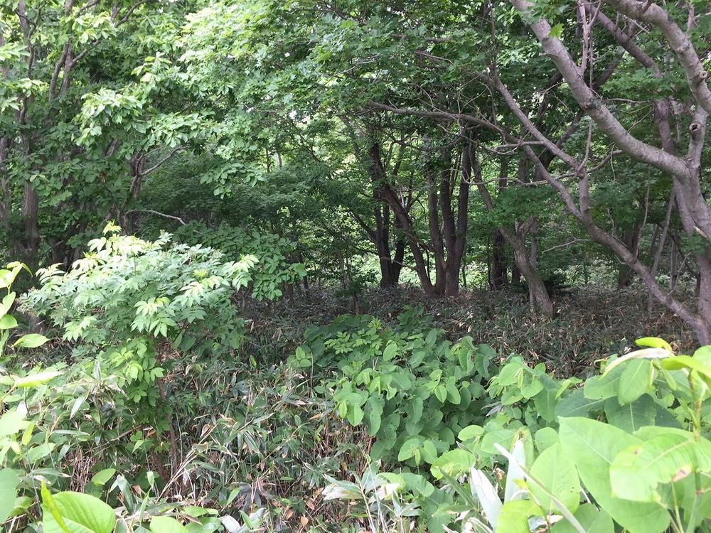 474m2 Land for Sale in Shikabe, Hokkaido - Thumbnail 3