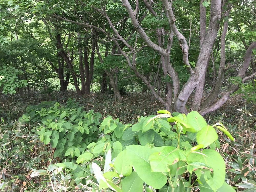 474m2 Land for Sale in Shikabe, Hokkaido - Thumbnail 4