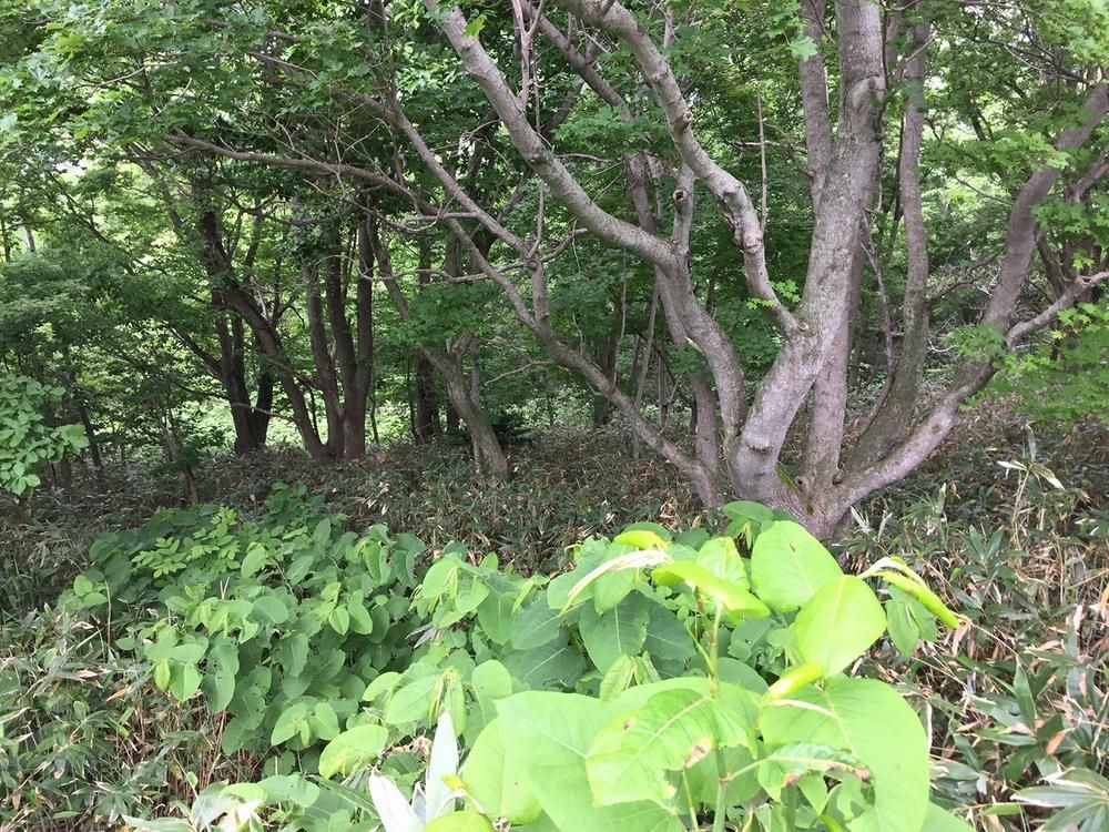 474m2 Land for Sale in Shikabe, Hokkaido - Thumbnail 2