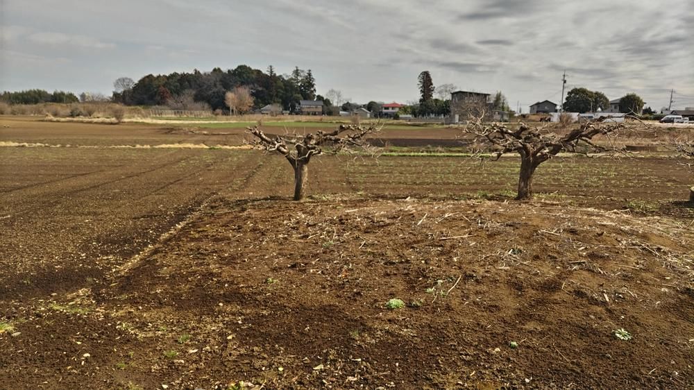 426m² Land for Sale in Tsukuba, Ibaraki – No Building Conditions - Thumbnail 3