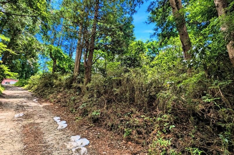 416m2 Land for Sale in Kisarazu, Chiba - Thumbnail 4