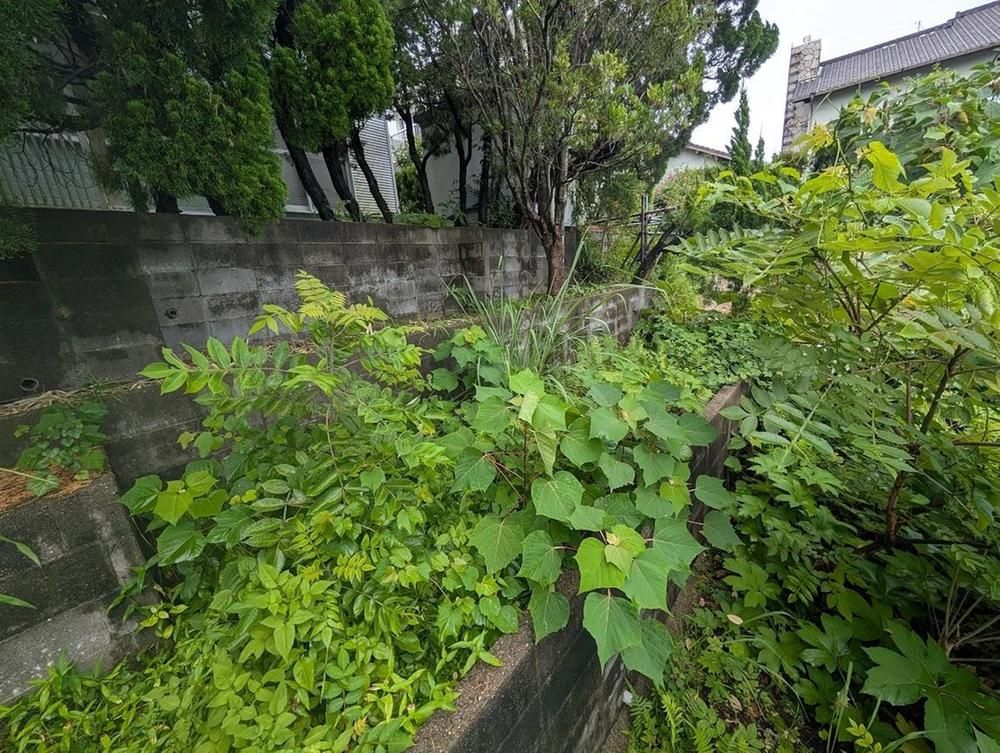 Land for Sale in Miyazaki City - 218 sqm Plot - Thumbnail 4