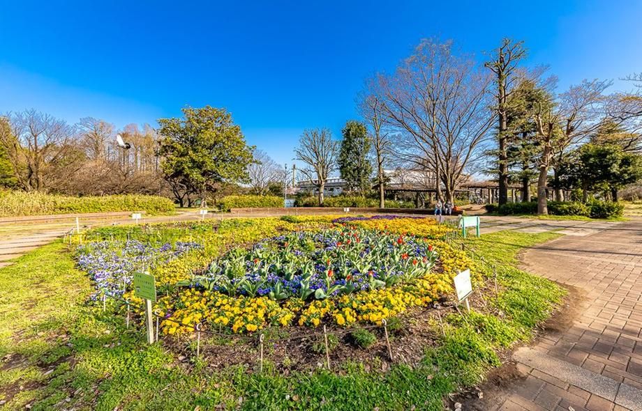 Land for Sale in Nakahara-ku, Kawasaki, 61.13m² - Thumbnail 2