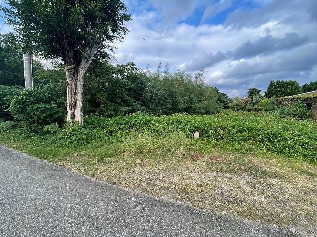 Land for Sale in Motobu Town Okinawa 520.77 sqm - Thumbnail 2