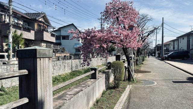 2LDK Apartment for Sale in Ichikawa, Chiba - 69.1m2 - Thumbnail 2