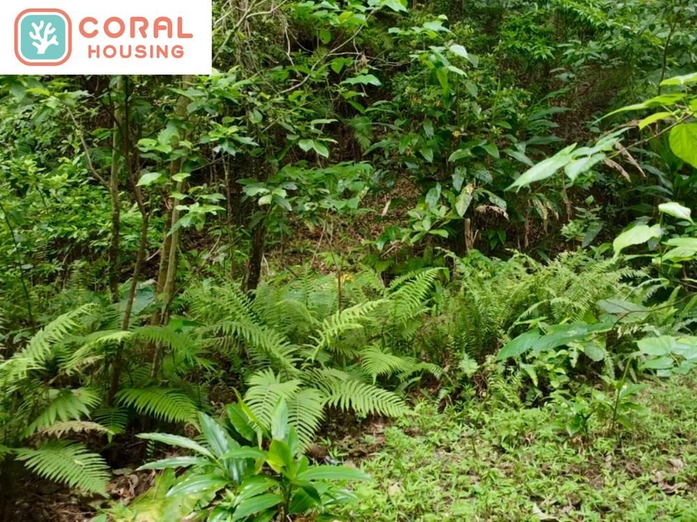 Agricultural Land for Sale in Kunigami Village, Okinawa - 5,671 sqm - Thumbnail 2