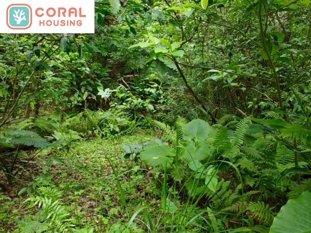 Agricultural Land for Sale in Kunigami Village, Okinawa - 5,671 sqm - Thumbnail 3