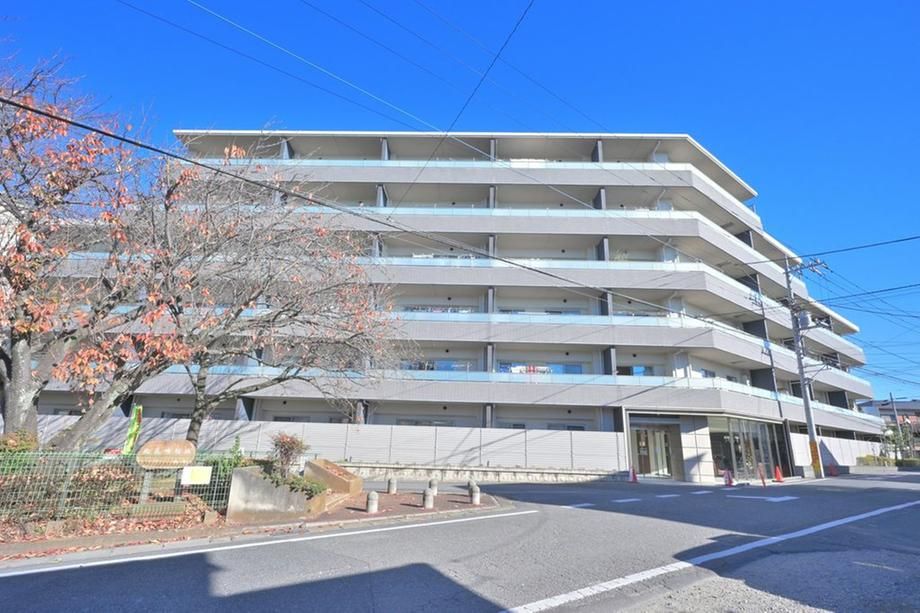 Levene Kashiwanoha Platinum Hills 3LDK Apartment for Sale - Thumbnail 4