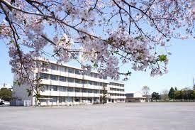 3LDK Apartment for Sale in Ebina Near Atsugi Station - Thumbnail 4