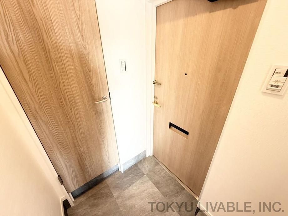 Fully Renovated 1LDK Apartment in Kawasaki, Kanagawa - Thumbnail 3