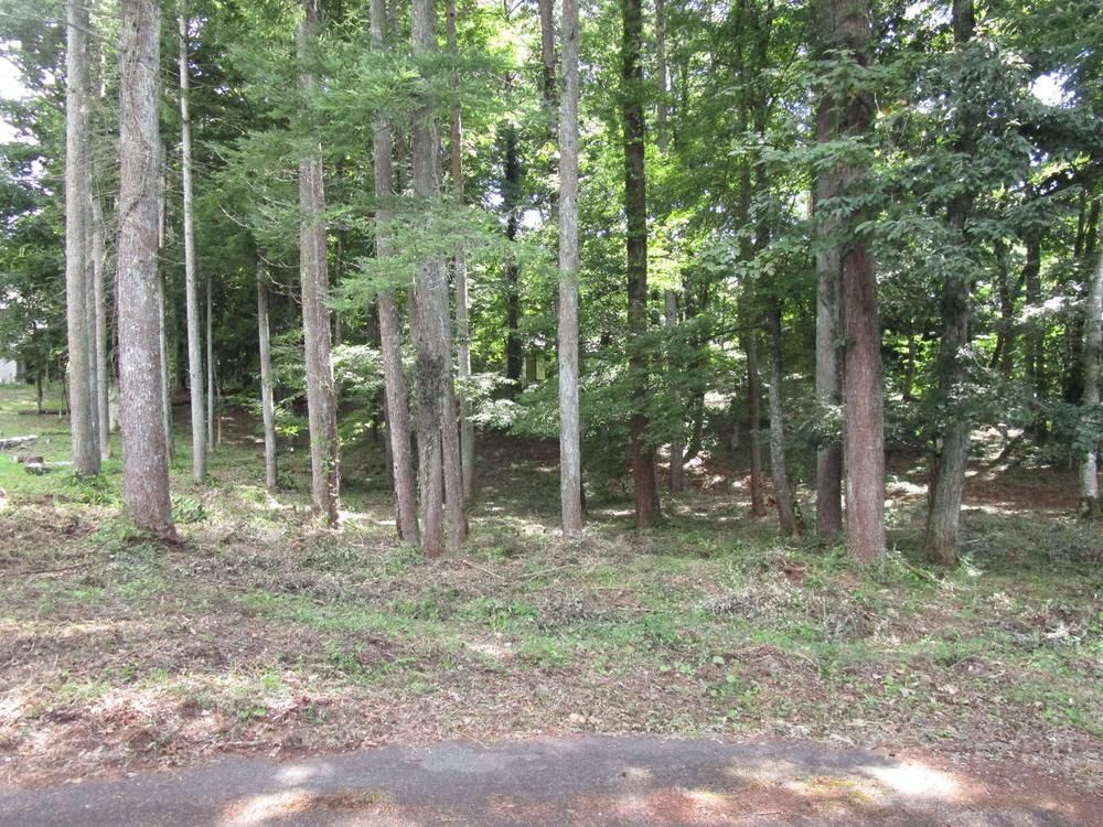 1,933 sqm Land Plot for Sale in Narusawa Village near Mount Fuji - Thumbnail 2