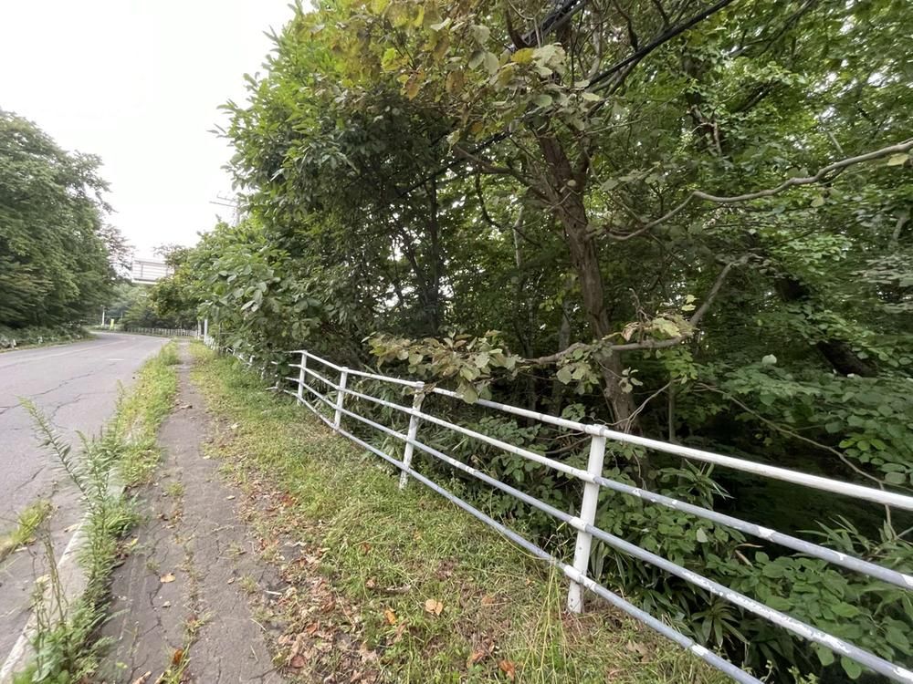 9,917 sqm Land Parcel for Sale in Kitahiroshima, Hokkaido - Thumbnail 4