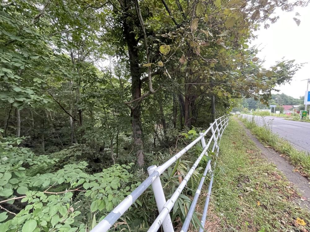 9,917 sqm Land Parcel for Sale in Kitahiroshima, Hokkaido - Thumbnail 3