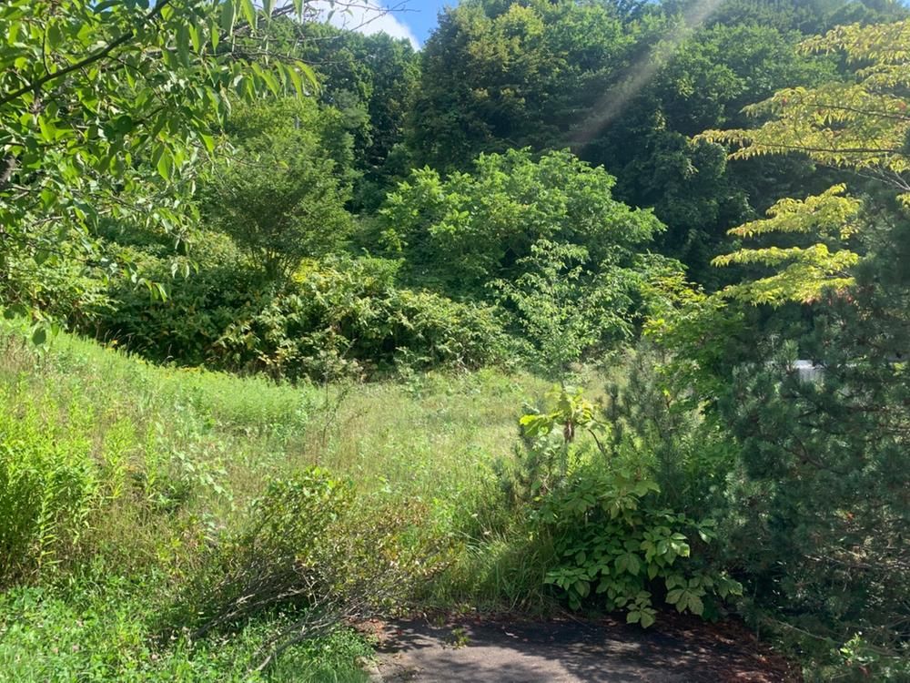 510 sqm Land for Sale in Minami-ku, Sapporo - Thumbnail 4