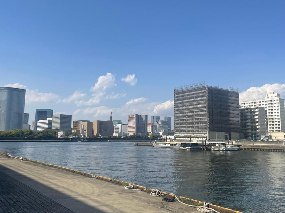 Za Toyomi Tower Marine & Sky WEST - 3LDK New Condo in Chuo, Tokyo - Thumbnail 2