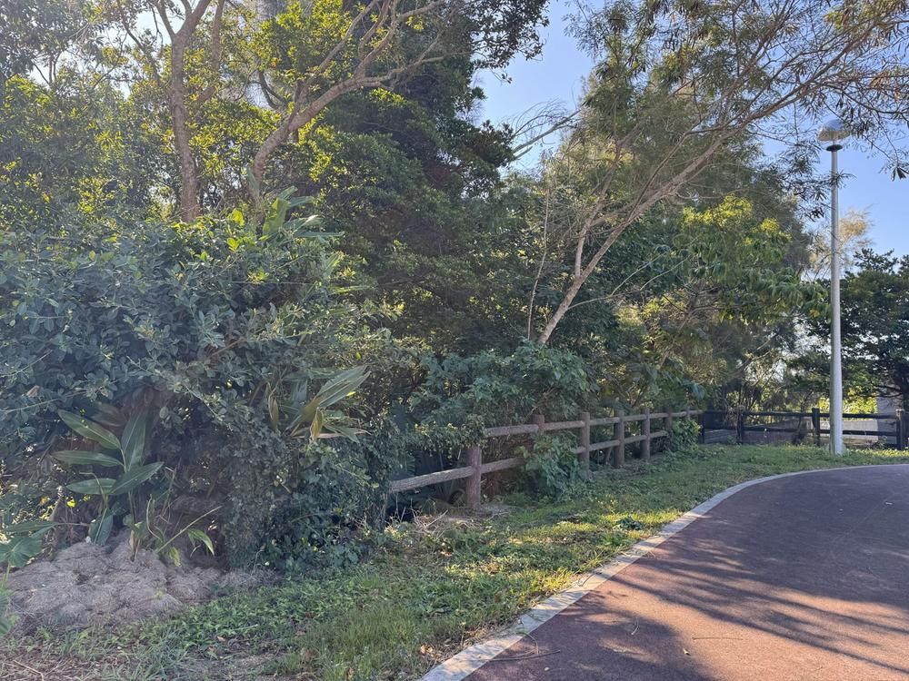 Land for Sale in Kin Town, Okinawa - 1,419 sqm - Thumbnail 2