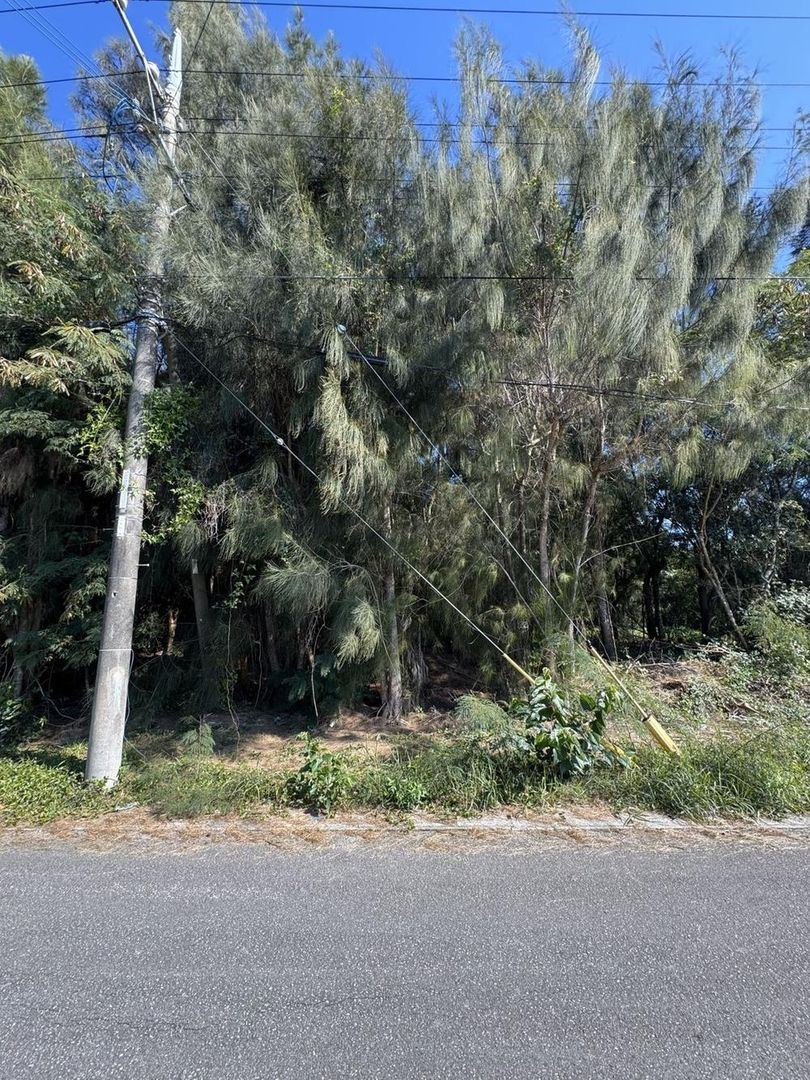 Land for Sale in Kin Town, Okinawa - 1,419 sqm - Thumbnail 4
