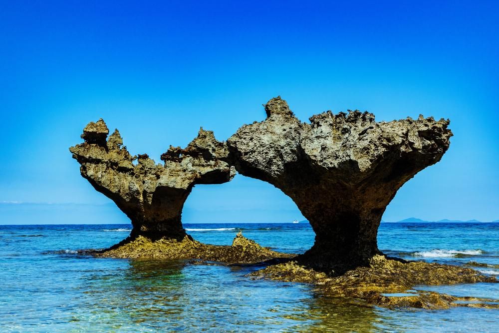 Land for Sale in Kouri, Nakijin Village, Okinawa - 179 sqm - Thumbnail 3