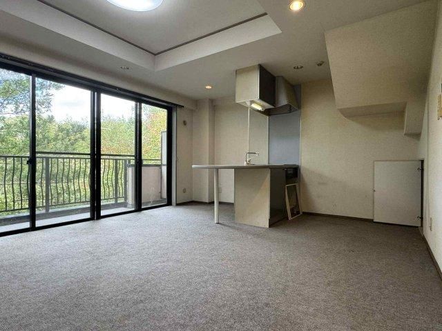 2LDK Resale Apartment in Karuizawa with Balcony and Pet Allowance - Thumbnail 3
