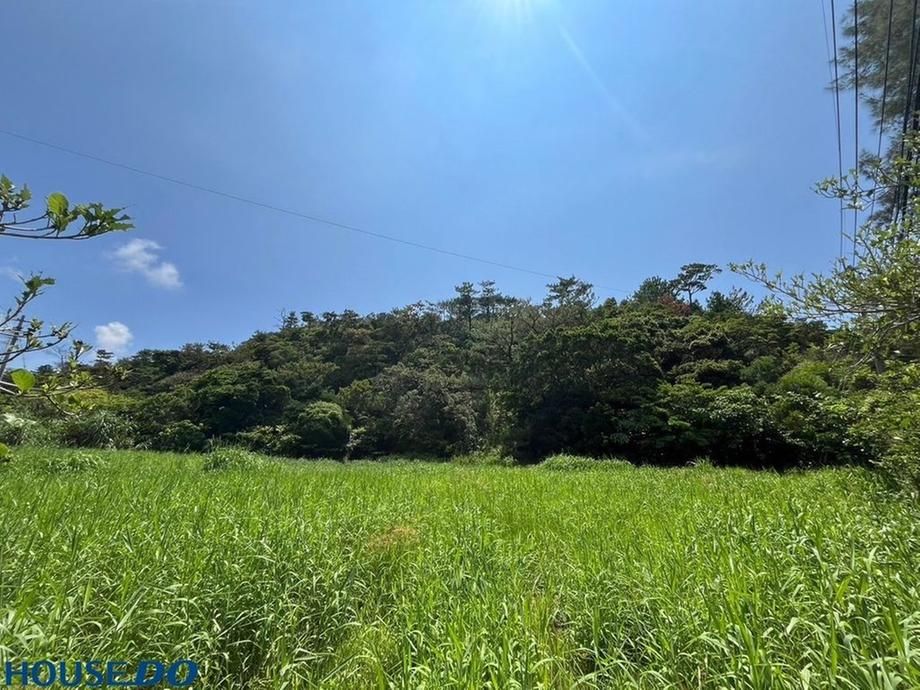 9647m2 Land for Sale in Onna Village, Okinawa - Thumbnail 4