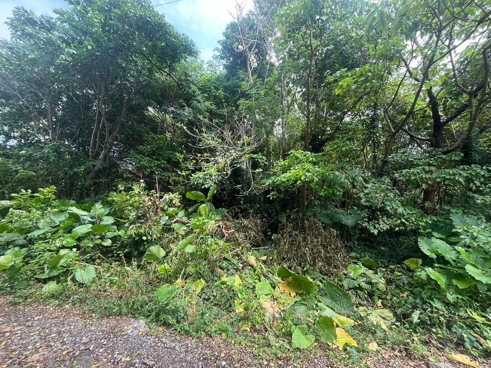 Land for Sale in Motobu Town, Okinawa - 279 sqm - Thumbnail 3
