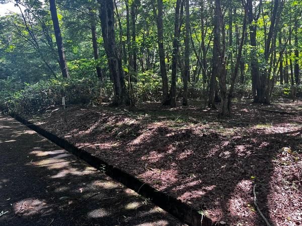 200 sqm Vacant Land in Inawashiro, Fukushima for 1,000,000 Yen - Thumbnail 4
