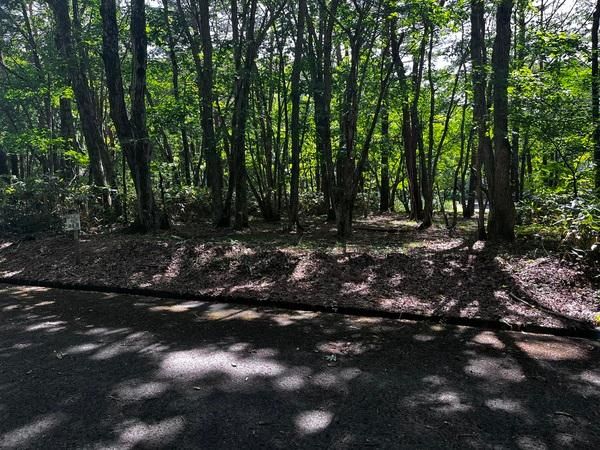 200 sqm Vacant Land in Inawashiro, Fukushima for 1,000,000 Yen - Thumbnail 2